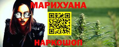 крисы Можга