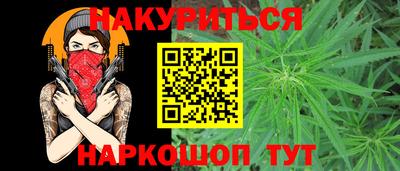 крисы Можга