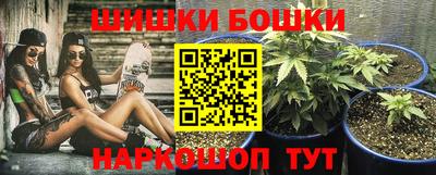 крисы Можга