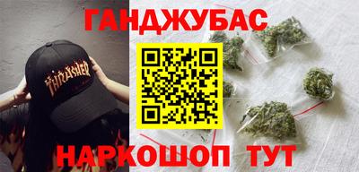 крисы Можга