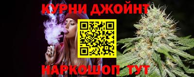 крисы Можга