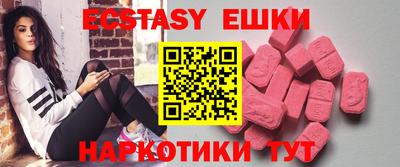 крисы Можга