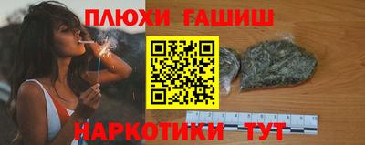 крисы Можга