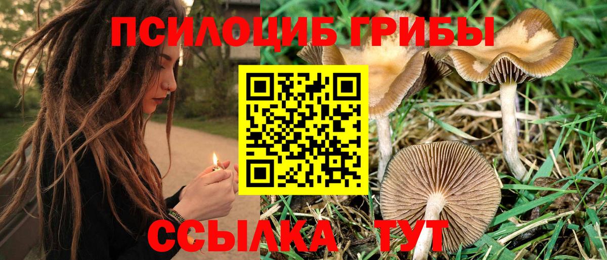 Среднеуральск  купить наркоту  Вход с VPN  Псилоцибиновые грибы прущие грибы 