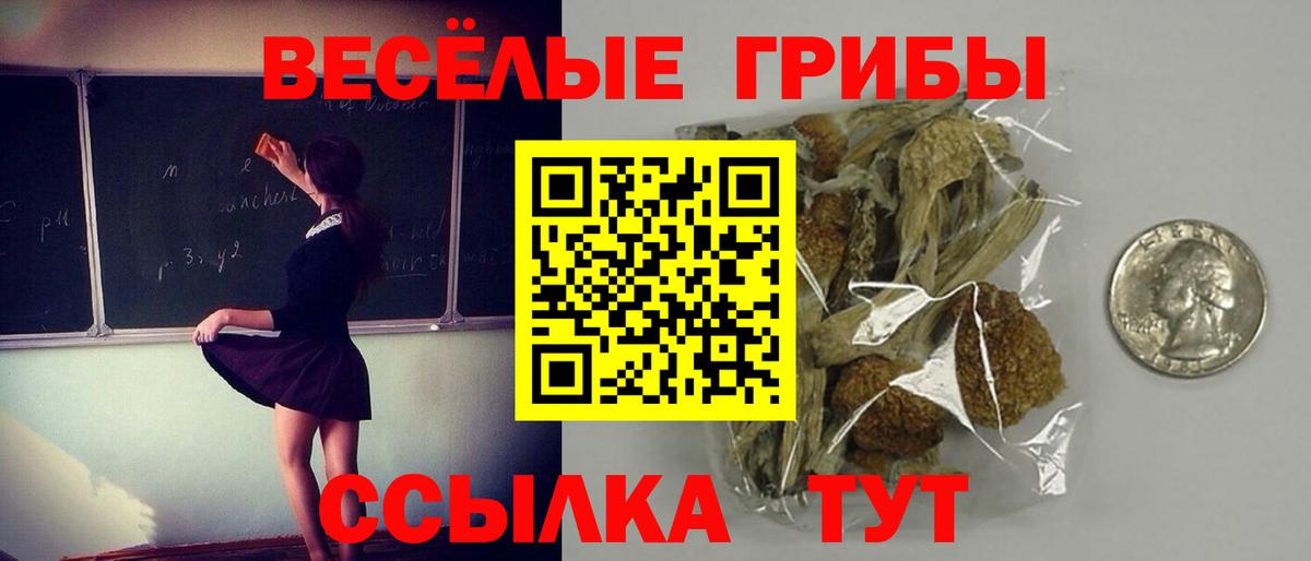 Псилоцибиновые грибы Magic Shrooms Среднеуральск